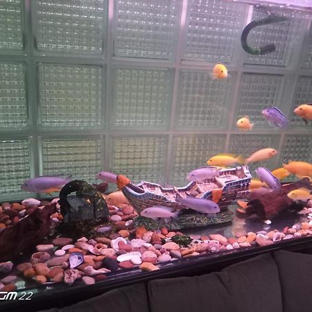 City Light Otel اسطنبول المظهر الخارجي الصورة