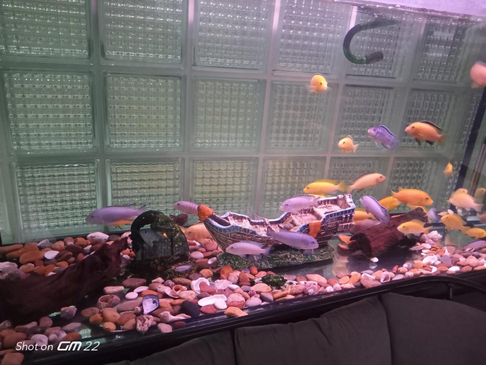 City Light Otel اسطنبول المظهر الخارجي الصورة